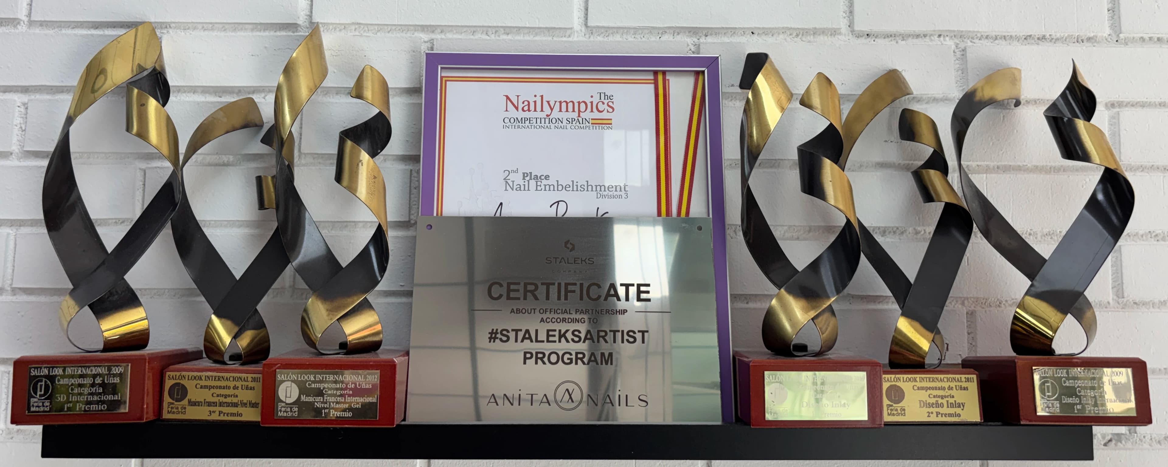 Trofeos y premios profesionales de Anita Nails en concursos nacionales e internacionales de unas